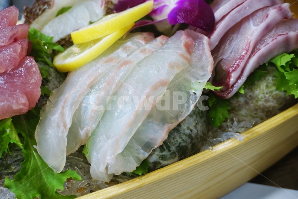 회,횟집,생선,사시미,모듬회,모둠회,음식,식재료,요리,food,cook,meal,dishes,food reserves
