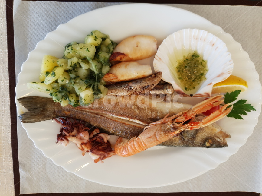 음식,요리,해물요리,해산물,바닷가음식,food,oceanfood,음식,식재료,요리,food,cook,meal,dishes,food reserves,수산물,해산물,fishery products,seafood,양식,서양음식,서양요리,western food,western dishes,western meal,western cook