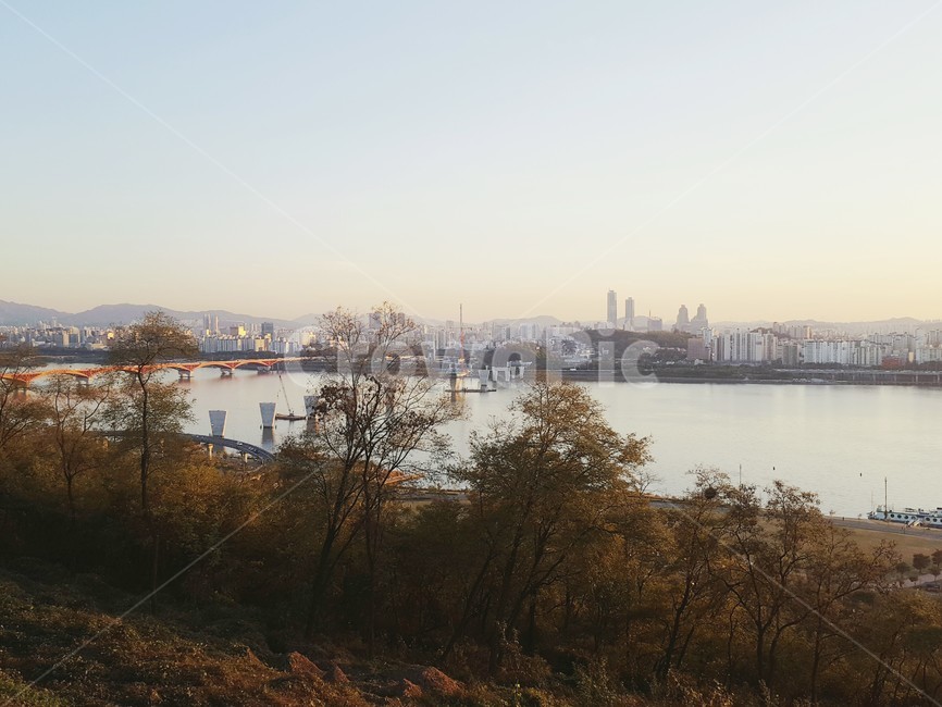 한강,다리,한강공원,도시,공원,숲,하늘,풍경,bridge,park,city,hanriver