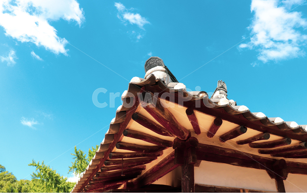 roof,지붕,하늘,sky,기와,한옥,koreanstylehouse,house,한국전통,한국문화,korean traditional,korean culture