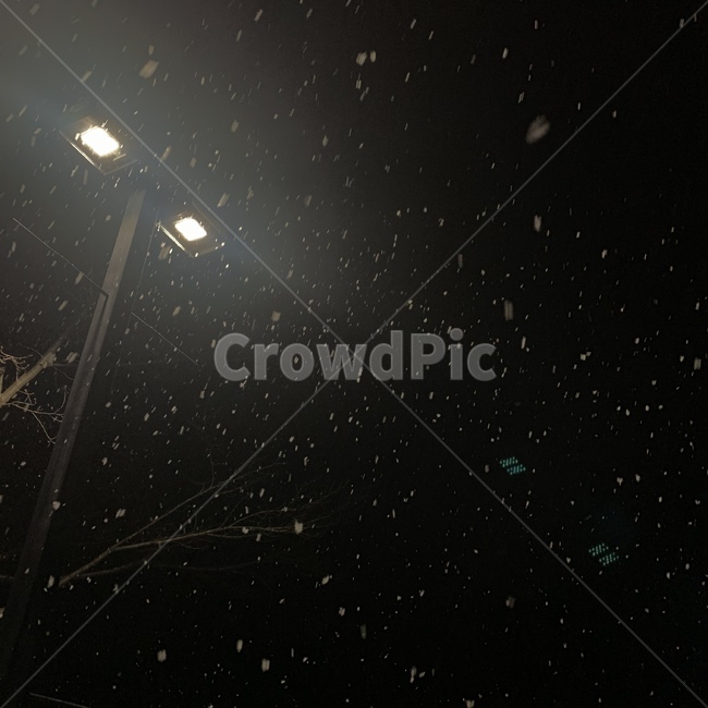 눈,겨울,가로등,눈내리는,snowy,밤,night,streetlamp,streetlight,winter