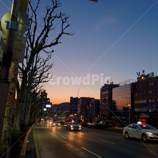 도로,road,아스팔트,일출,새벽
