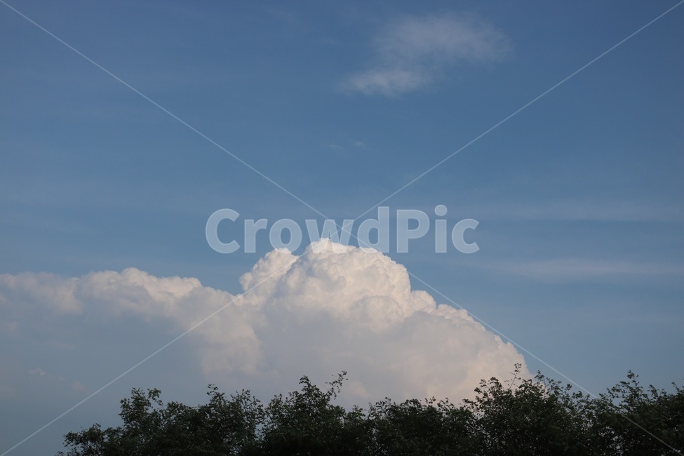 하늘,자연,구름,파랑,나무,식물,흰색,초록,여름,sky,sora,nature,cloud,kumo,blue,ao,tree,ki,plants,shokubutsu,white,shiro,green,midori,summer,natsu,자연,풍경,nature,landscape,weather,날씨,outdoors,옥외,cumulus,적운