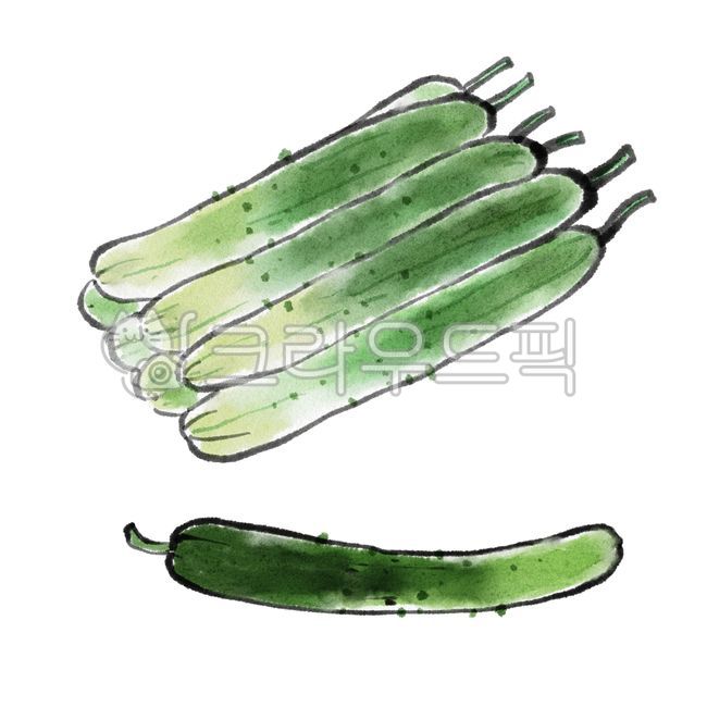 오이,cucumber,음식,농산물,식재료,음식재료,반찬재료,원료,원재료,식품,건강식품,건강식재료,자연식재료,자연산,먹거리,건강식,채소,채소그림,야채,야채그림,동양화,한국화,수묵화,vegetable,plant,food,cook,meal,foodreserves,nature,illustration,handdrawing