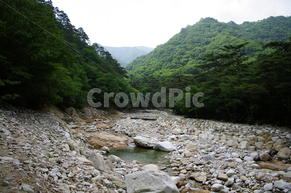 계곡,강,바위,돌,산,풍경,자연,풍경,nature,landscape,road,도로,gravel,자갈,dirt road,흙길,rubble,파편,outdoors,옥외,water,물