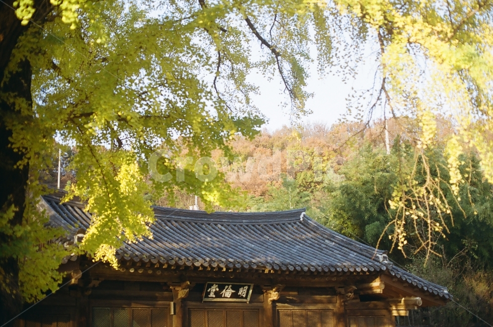 한옥,명륜당,가을,단풍,전주,가을,계절,fall,autumn,season,한국전통,한국문화,korean traditional,korean culture,랜드마크,landmark,tourist attraction,한국랜드마크,한국관광지,한국명소,korea landmark,korea tourist attraction