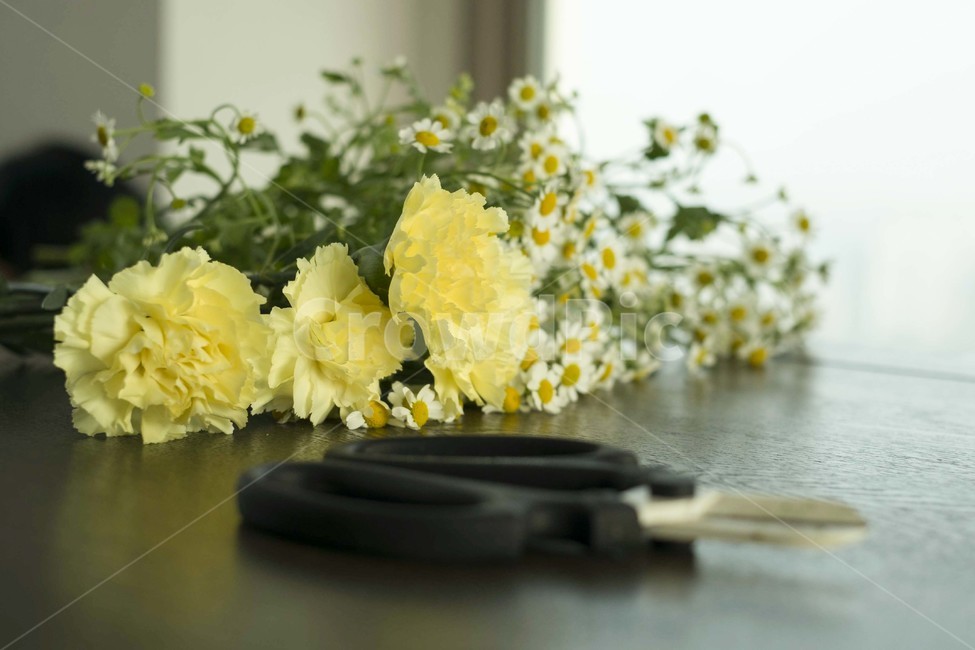 꽃,꽃꽂이,가위,flower,yellow,노란꽃,식물,plant,blossom