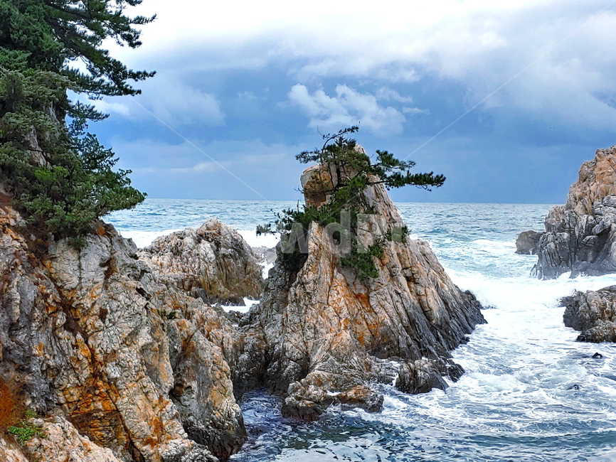 바다,파도,물,풍경,자연,자연,풍경,nature,landscape