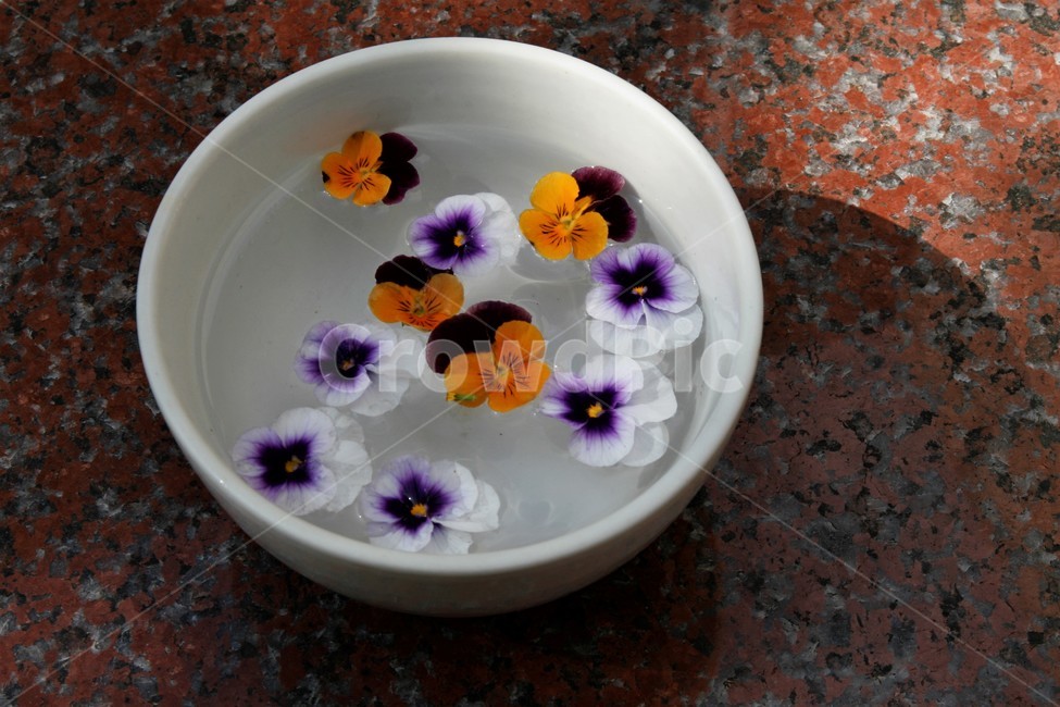 사발,대접,꽃잎,쟁반,대리석,음료수,drink,beverage