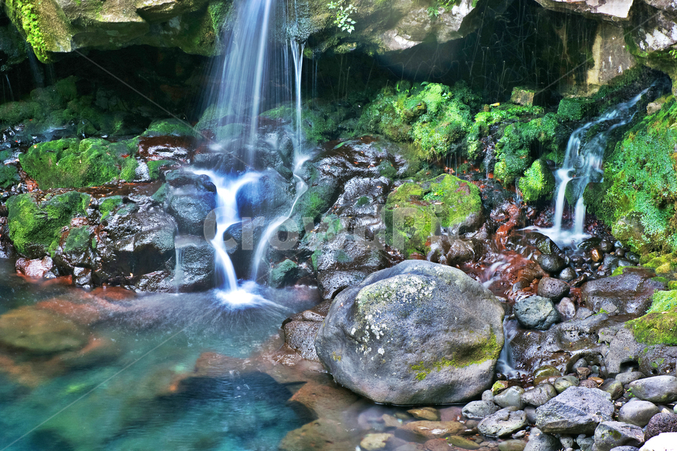 원앙폭포,폭포,제주,돈네코,서귀포시,자연,풍경,nature,landscape,water,물,outdoors,옥외,river,강,waterfall