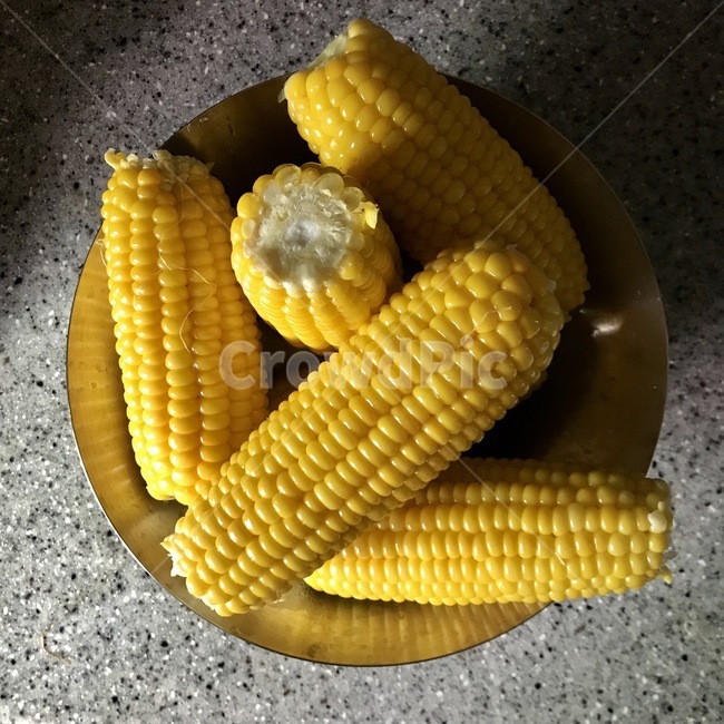 과일,과일식,채식,fruit,옥수수,초당옥수수,음식,식재료,요리,food,cook,meal,dishes,food reserves,곡류,곡식,cereals