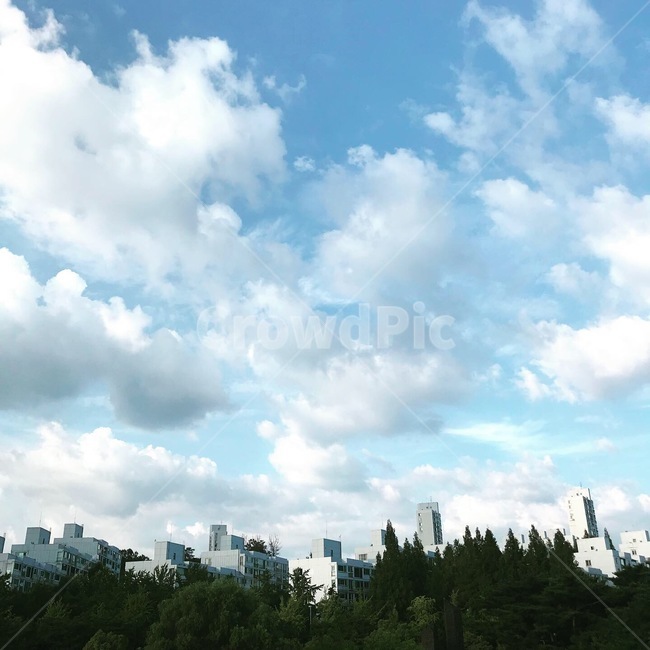 하늘,구름,맑은날,건물,숲