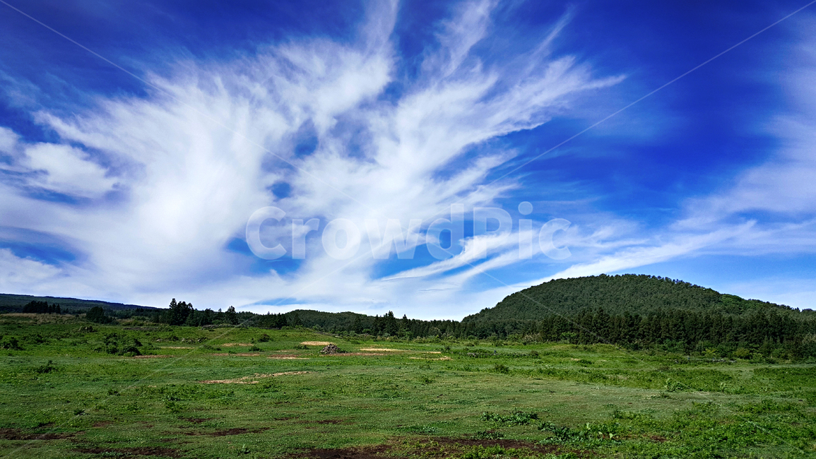 outdoors,옥외,nature,자연,나무,구름,파란하늘,자연,풍경,nature,landscape