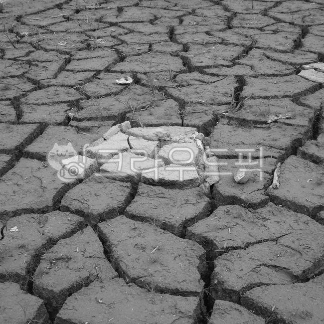 soil,ground,소양강물노리,50년만의가뭄,최악의가뭄