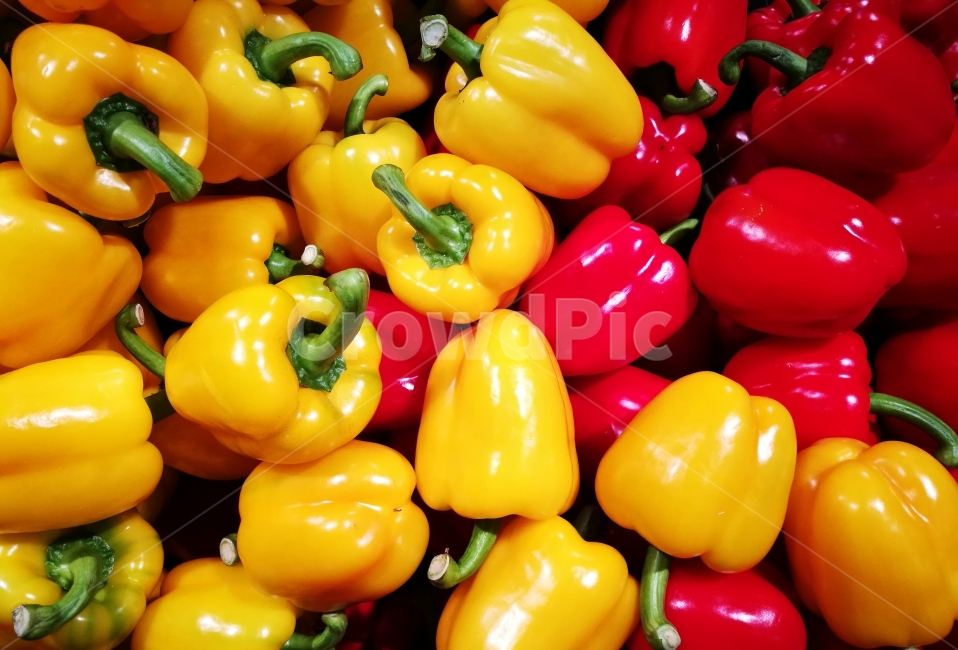 파프리카,피망,농산물,야채,한국,노란색,마켓,음식,식재료,요리,food,cook,meal,dishes,food reserves,채소,야채,vegetables