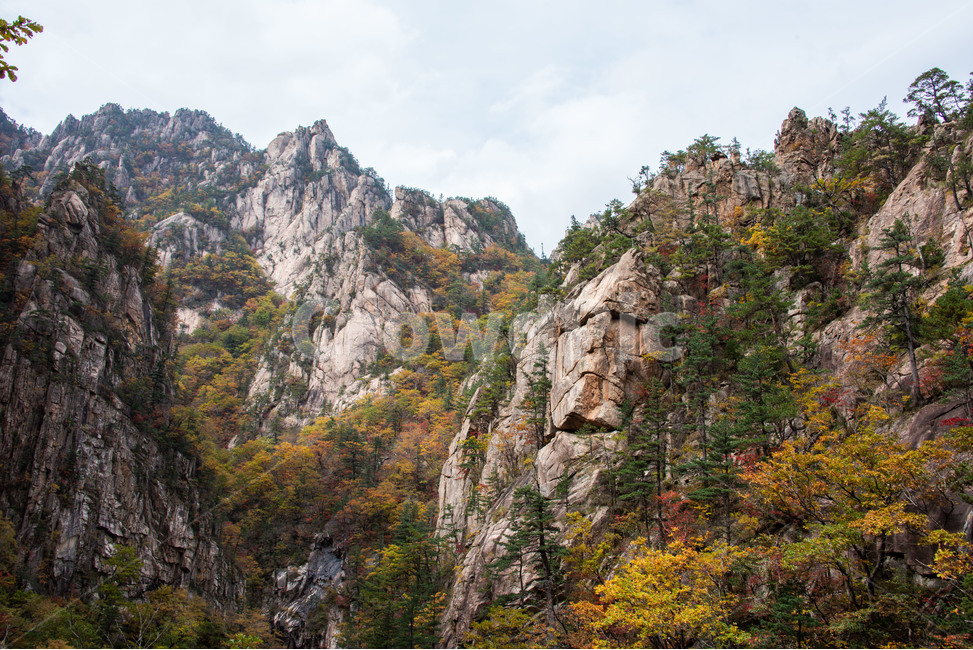 설악산,국립공원,가을,단풍,천불동계곡,기암괴석,가을,계절,fall,autumn,season,자연,풍경,nature,landscape,한국자연풍경,한국자연경관,korea nature landscape,outdoors,옥외,cliff,낭떠러지