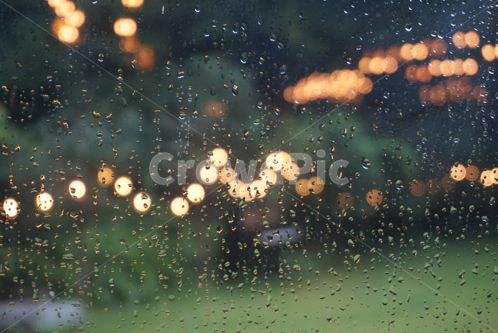 비,물방울,불빛,보케,흐림,비,비오는날,rain,rainy