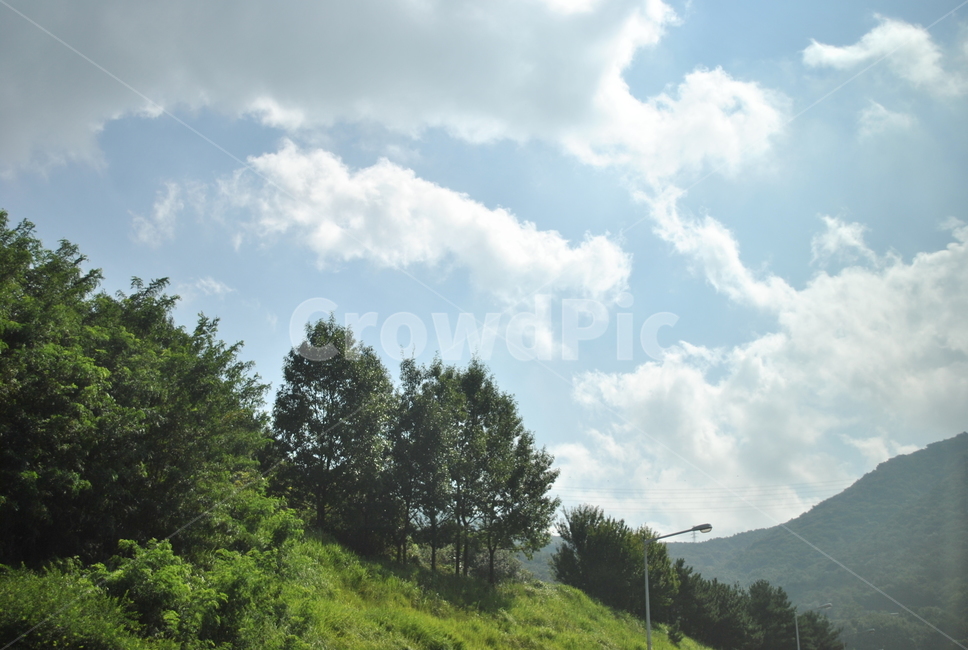 grassland,목초지,field,tree,나무,slope,경사,하늘,구름,자연,풍경,nature,landscape,outdoors,옥외,들,plant,식물