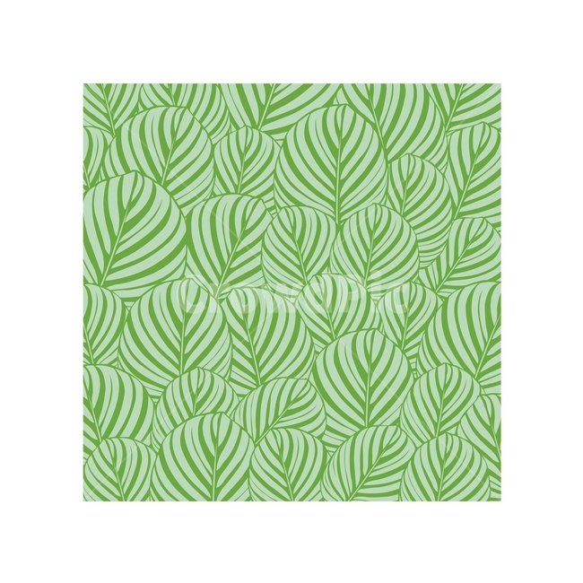 plant pattern,plant background,pattern,tropical,Kaladera leaves,tropical child,plant,illustration,vector,tropical plants,Kaladera,green pattern,tropical pattern