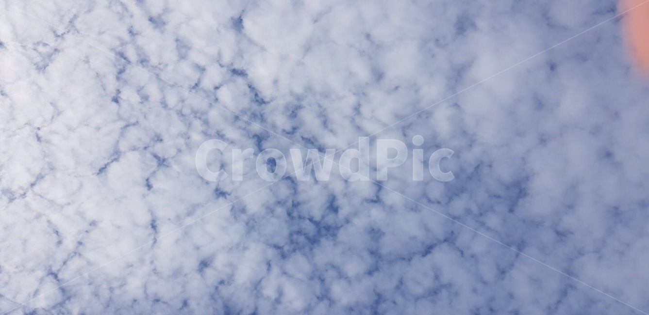 하늘,구름,들판,바람,초록,자연,풍경,nature,landscape,outdoors,옥외,sky