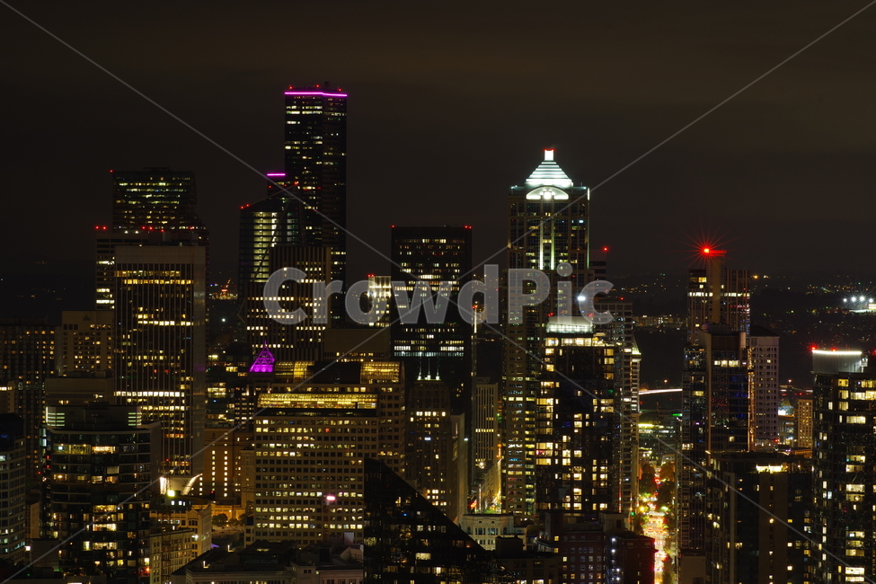 시애들,야경,city,night,seattle,야경,밤,풍경,nightscape,night,landscape,도시,city,해외,외국,세계,foreign,oversea,world,세계도시풍경,해외도시풍경,외국도시풍경,world cityscape