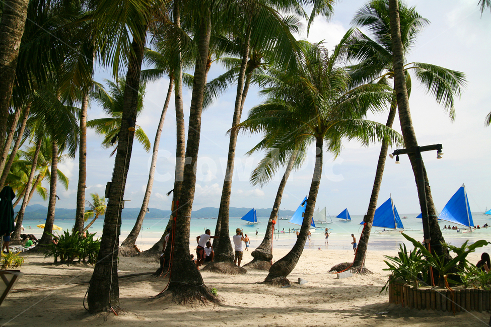 Trees,Landscape,Clouds,Boracay,White Beach,Philippines,Plants,Palm Tree,Sea,Clear,Beach,Yacht,Ship,Sand Beach,Bathing Beach