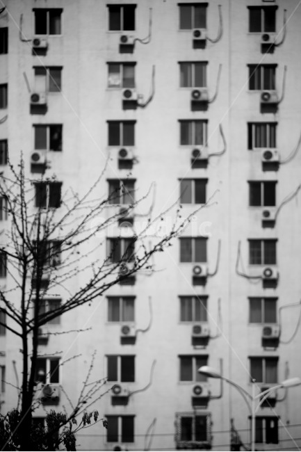 나무,일상,아파트,패턴,풍경,흑백,모노톤,monochrome,black and white,건축물,건물외관,exterior,building,structure,architecture,construction