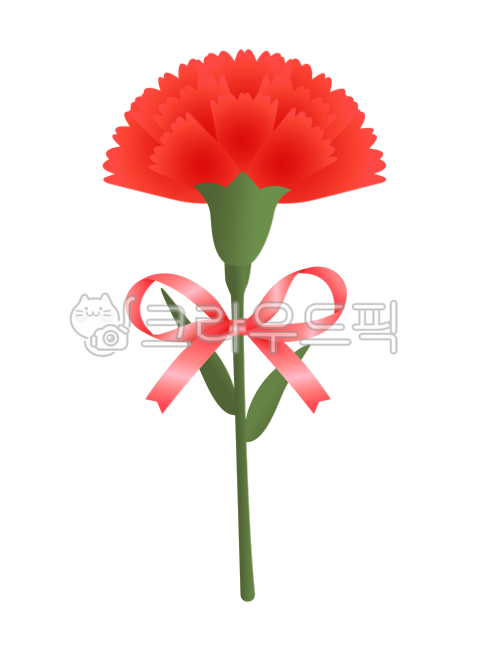 template,In May,red carnation,carnation,thank you card,thanks,red,thankyoucard,Making carnation cards,event,graphic,Thank you,Carnation illustration,Teachers day,Making a Teachers Day card,family month,ribbon,Thank you card,png,Mothers Day,flower,Red,Pare