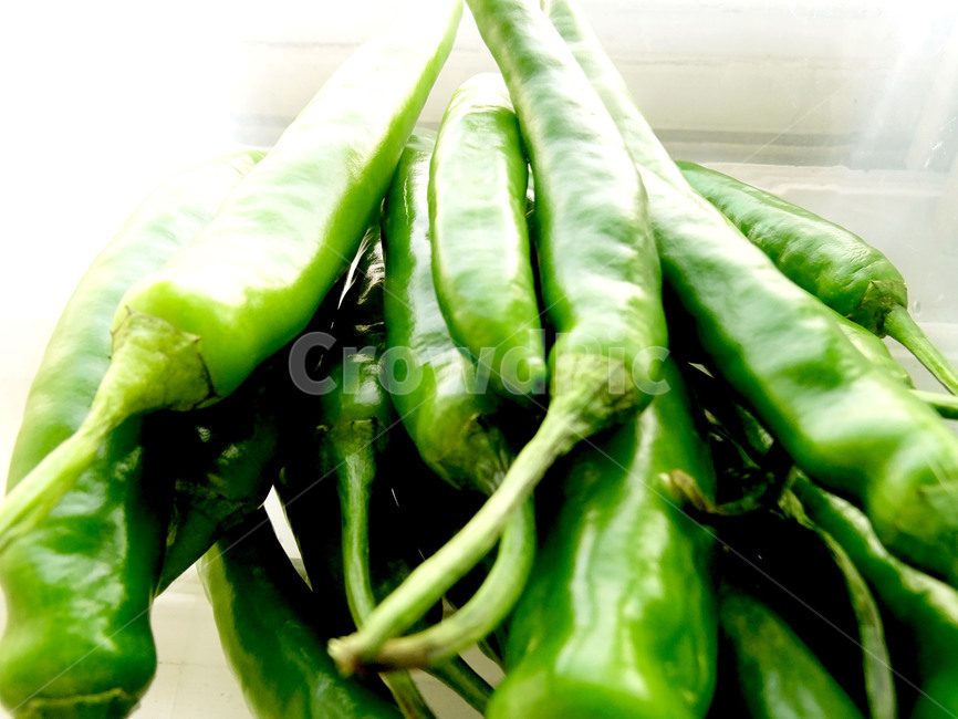 고추,풋고추,청양고추,매운,야채,음식,식재료,요리,food,cook,meal,dishes,food reserves,채소,야채,vegetables