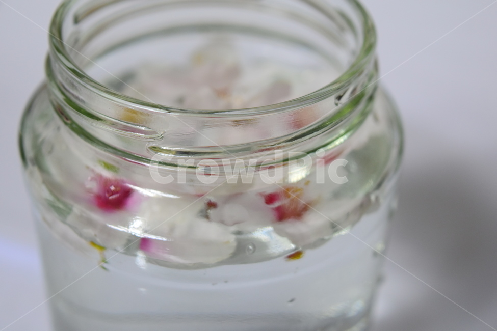 벚꽃,cherryblossoms,유리병,꽃잎,glassjar,꽃,물,jar,glass,flower,petal,petals,petalsonthewater,flowersonthewater,water,flowers,flowersinaglassjar,물위의꽃,물위의꽃잎,유리병안의꽃