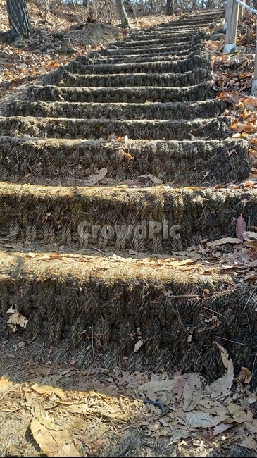 산,등산,자연,동산,뒤동산,등산로,ground,바닥