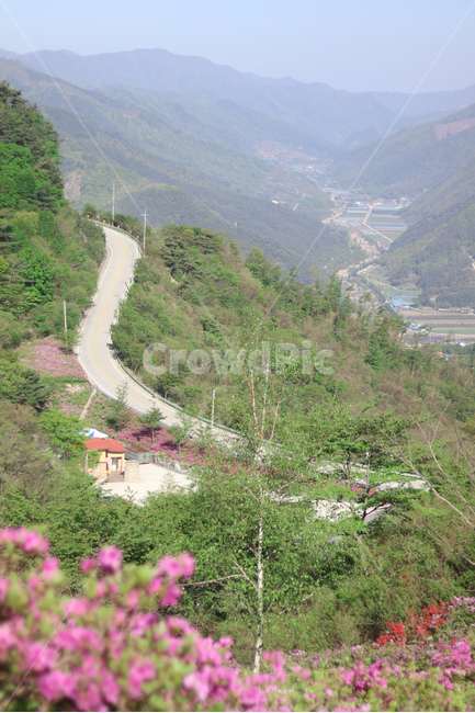 도로,산,나무,철쭉,자동차도로,자연,풍경,nature,landscape,한국자연풍경,한국자연경관,korea nature landscape,slope,경사,outdoors,옥외,scenery,경치,mountain