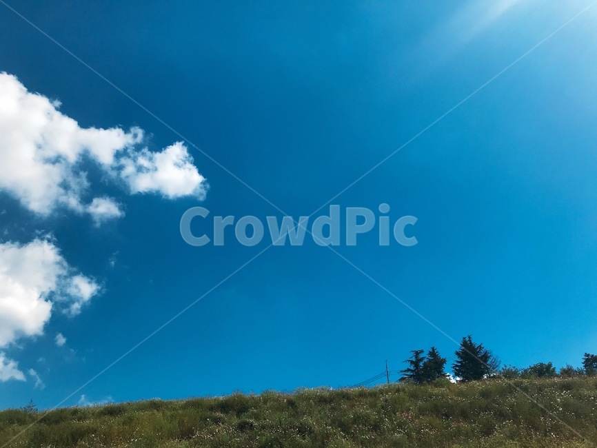 하늘,구름,풍경,자연,파란색,여름하늘,풀밭,자연,풍경,nature,landscape,outdoors,옥외