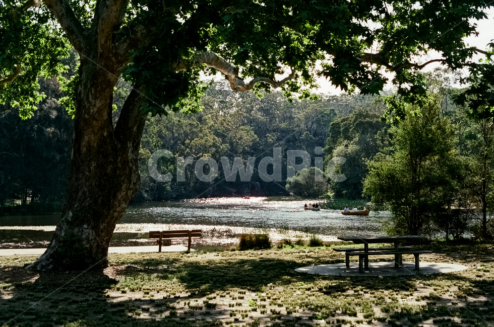 소풍,공원,숲,호수,나무,잔디,녹지,잔디밭,평화로운,고요한,park,forest,tree,green,여름,봄,여유,여유로운,감성,감성사진,연못,필름사진,나룻배,자연,햇살,물결