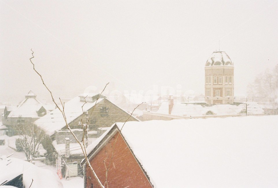 삿포로,훗카이도,일본,눈,마을,japan,sapporo,겨울,계절,snow,season,자연,눈보라,nature,winter,겨울,계절,winter,season