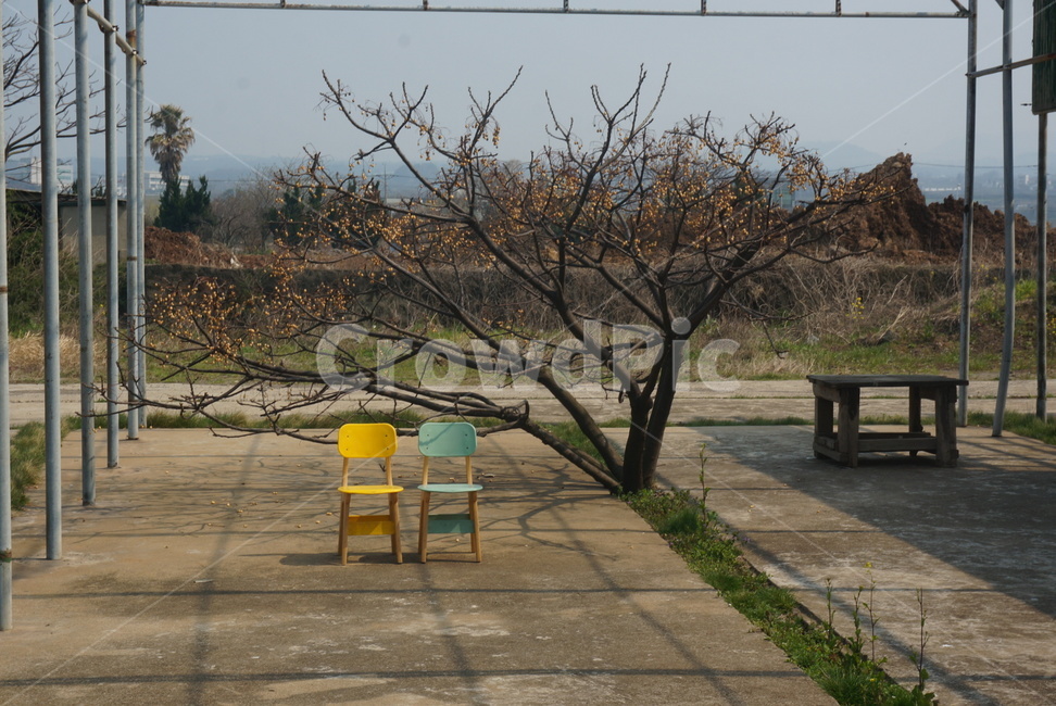 의자,가구,노란의자,파란의자,의자두개,자리,빈의자,감성,벤치,path,통로,chair,furniture,bench