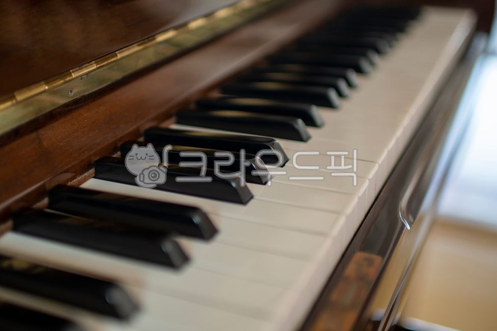 피아노, 취미, 교육, keyboard, 건반, 사진,이미지,일러스트,캘리그라피 - SWimage작가