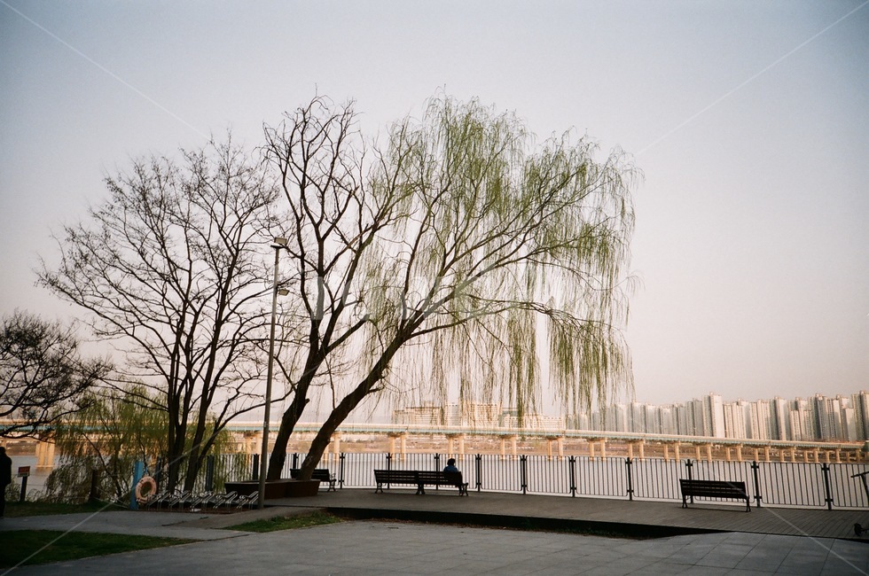 로모,필름,로모카메라,필름카메라,필름사진,필카,film,lomo,lomography,로모그래피,한강,풍경,landscape,river