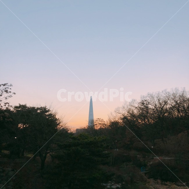 풍경,해질녘,나무,숲,야경,자연,풍경,nature,landscape,monument,기념물