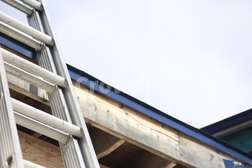 ladder,사다리,지붕,roof,여름,summer