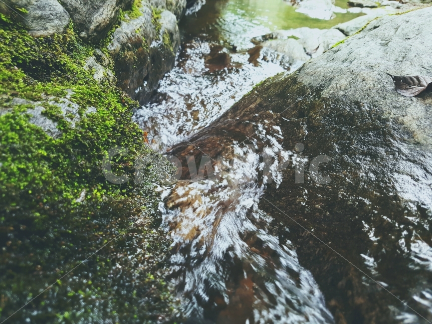 여행,여름,계곡,휴가,자연,풍경,물,색감,Travel,summer,valley,vacation,nature,landscape,view,water,blue,color,자연,풍경,nature,landscape,plant,식물,algae,조류