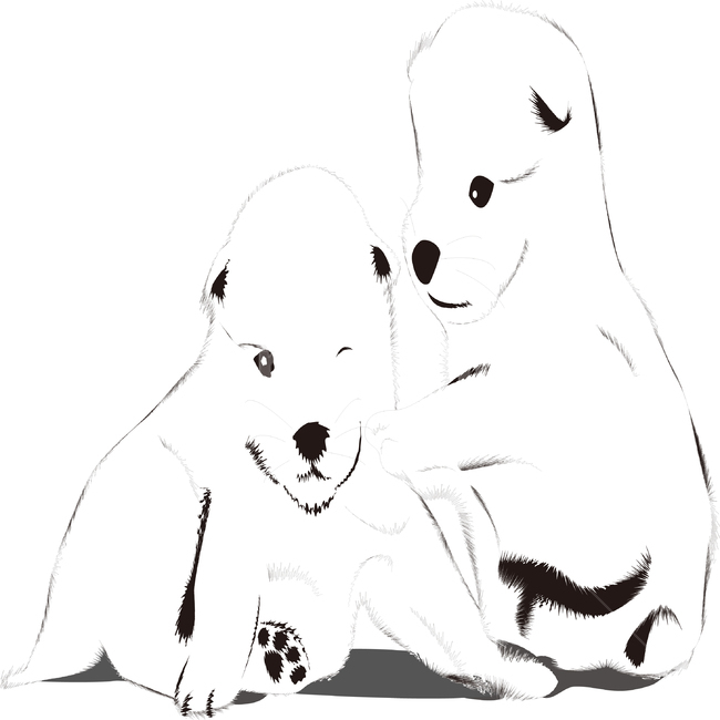 puppy,dog character,Jindo dog,native dog,cute,Korean dog