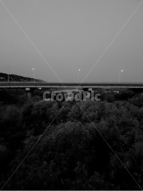 나무,숲,다리,도로,흑백,모노톤,bridge,forest,tree,가로등,자연,풍경,nature,landscape,한국자연풍경,한국자연경관,korea nature landscape,흑백,모노톤,monochrome,black and white,road
