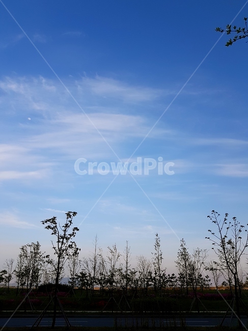구름,낮,파랑하늘,봄,햇빛,자연,풍경,nature,landscape,leisure activities,레저 활동,adventure,모험