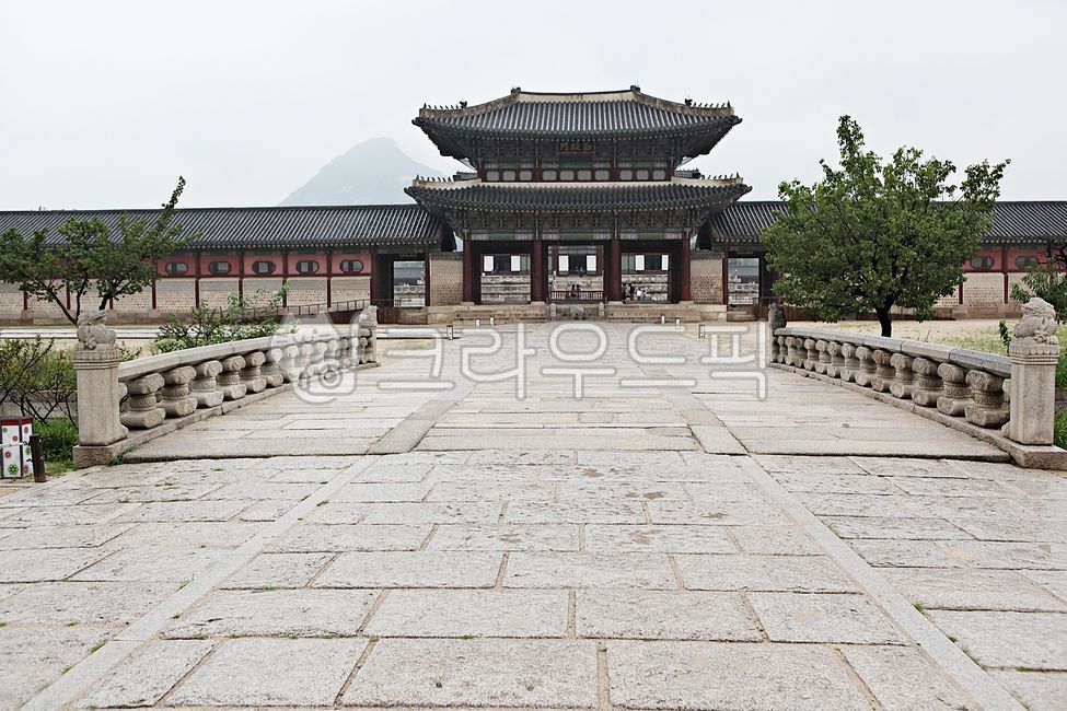 경복궁,궁,전통집,한옥,기와집,집,건물,풍경