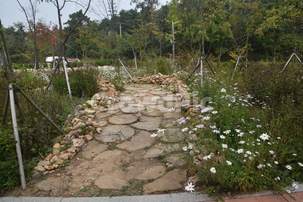 도로,판석,수목원,바다향기수목원,꽃,자연,풍경,nature,landscape,flagstone