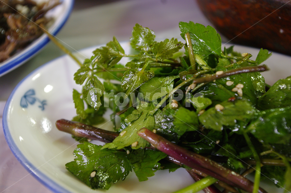 음식,요리,food,한식,나물,음식,식재료,요리,food,cook,meal,dishes,food reserves,채소,야채,vegetables