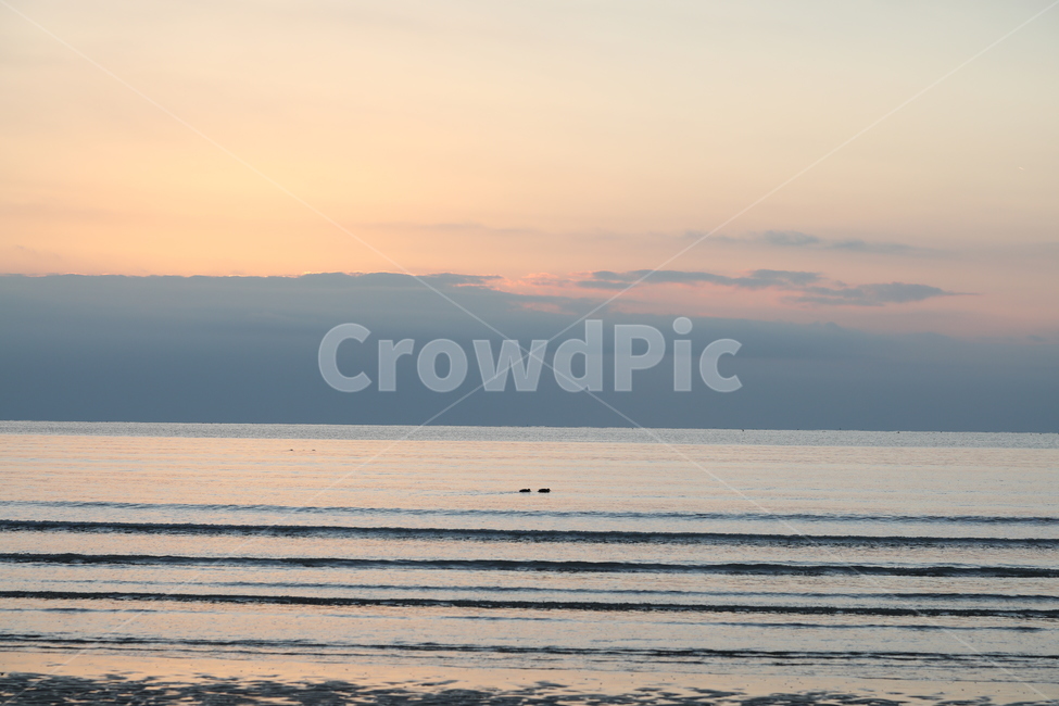 바다,바닷가,낙조,일몰,서해안,하늘,노을,해질녘,자연,풍경,구름,sunset,beach,landscape,자연,풍경,nature,landscape,outdoors,옥외