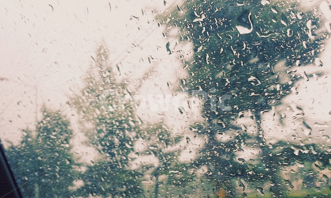 비,유리창,비오는날,우울,감성,나무,비,비오는날,rain,rainy