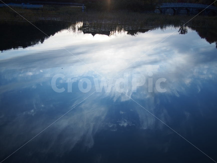그림자,물그림자,연못,성당못,정자,자연,풍경,nature,landscape,light,빛,flare,플레어,outdoors,옥외